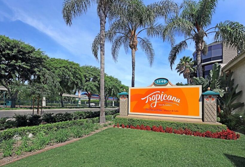 ホテル Tropicana Inn And Suites