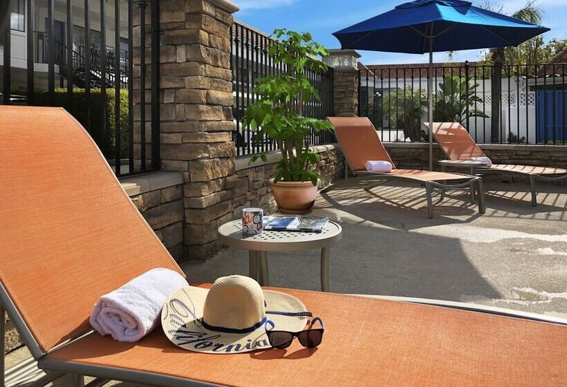 ホテル Tropicana Inn And Suites