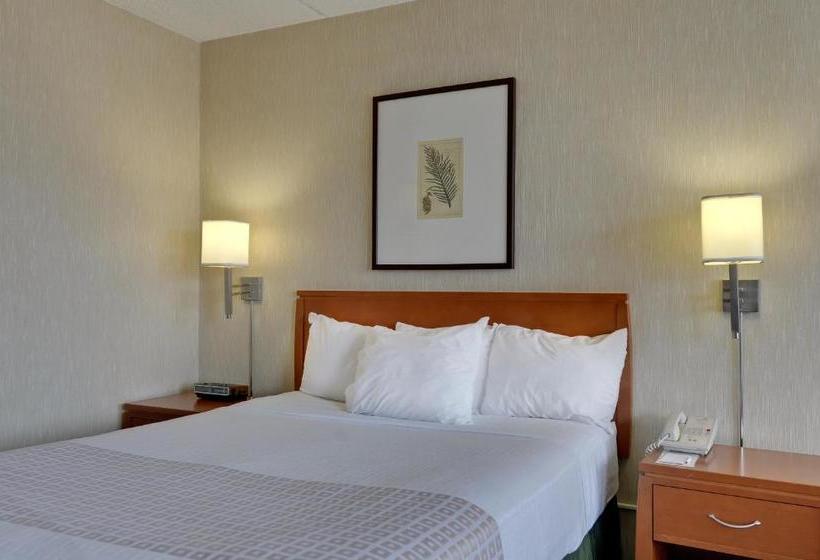Отель Vagabond Inn Executive Old Town