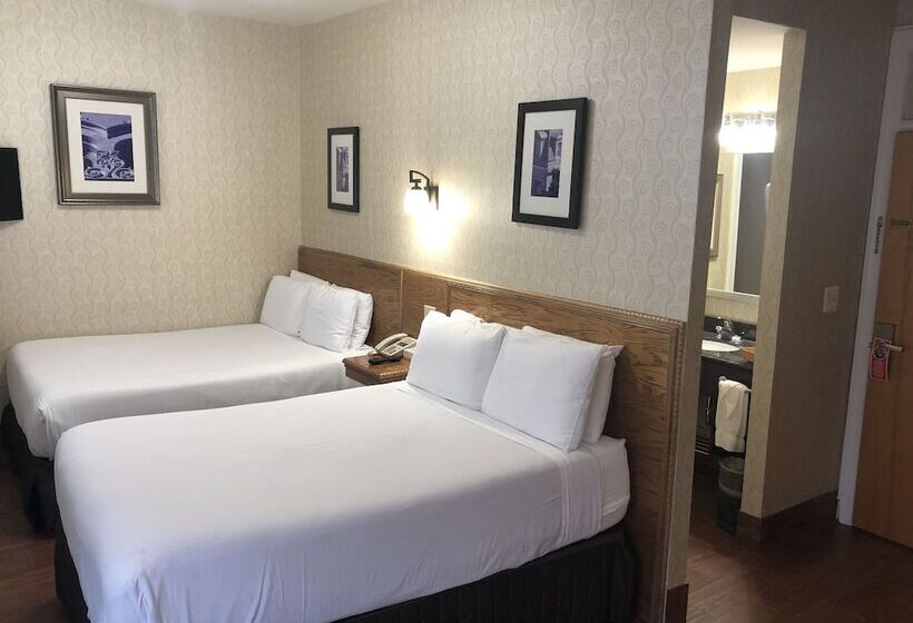هتل Windsor Inn