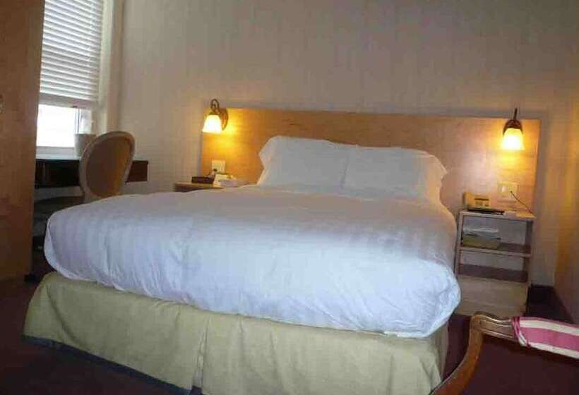 هتل Windsor Inn