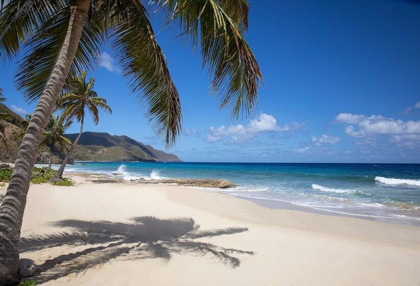 Carambola Beach Resort St. Croix, Us Virgin Islands