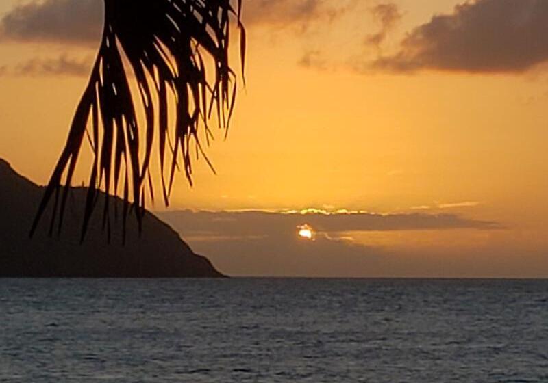 Carambola Beach Resort St. Croix, Us Virgin Islands