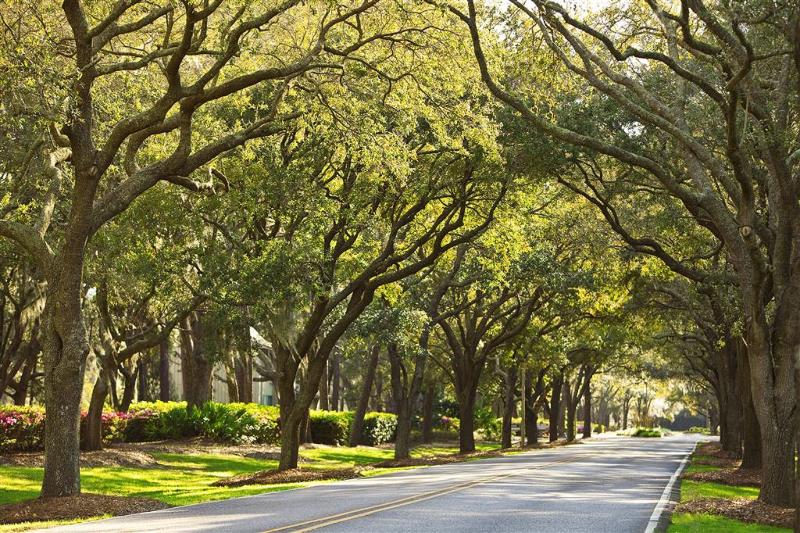 The Westin Hilton Head Island Resort & Spa