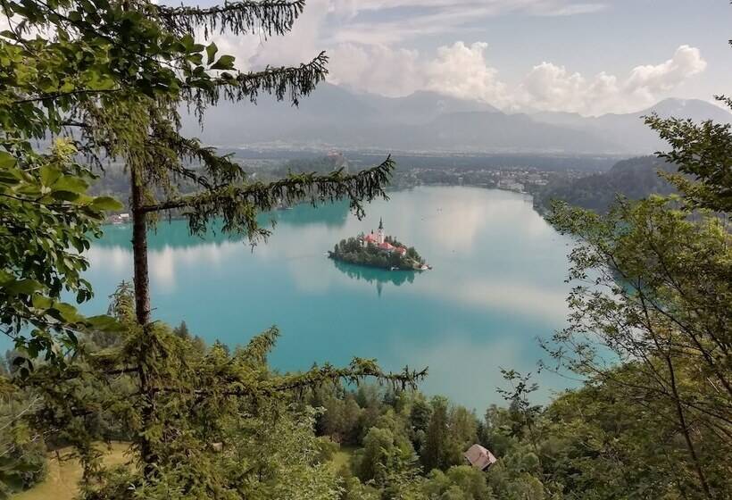 Fotos del hotel Bled Rose:  47