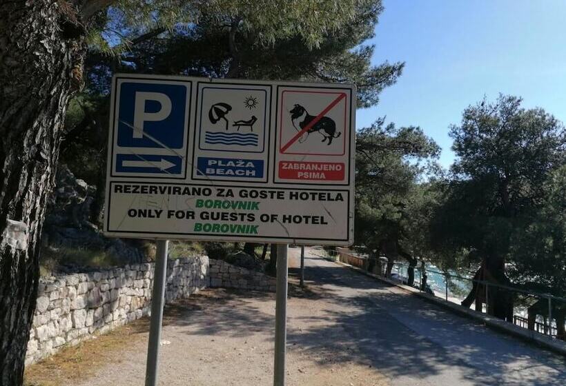 هتل Borovnik