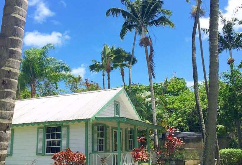 هتل Cobblers Cove  Barbados