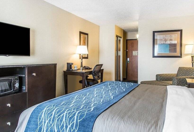 酒店 Comfort Inn & Suites