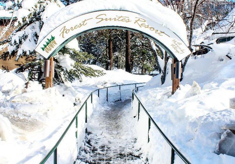 هتل Forest Suites Resort At The Heavenly Village