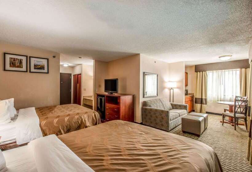 Hotel Quality Inn & Suites