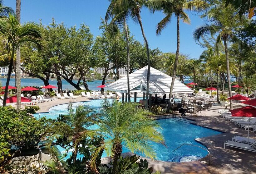 Fotos del hotel The Condado Plaza Hilton:  29