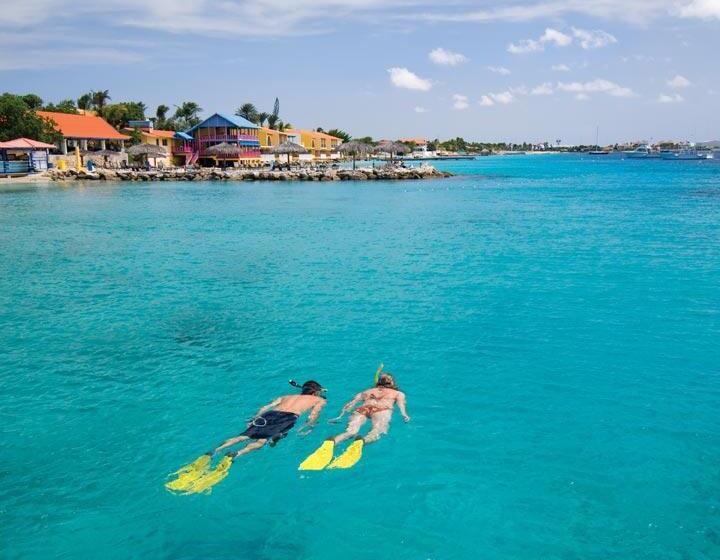 Divi Flamingo Beach Resort