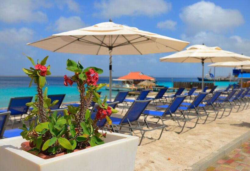 Divi Flamingo Beach Resort