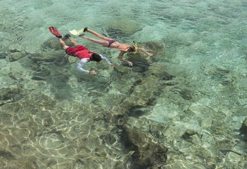 Divi Flamingo Beach Resort