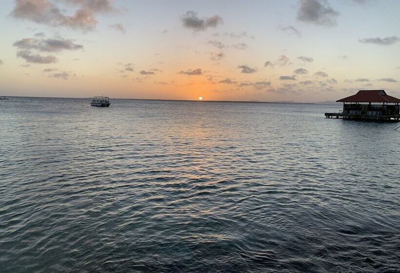 Divi Flamingo Beach Resort