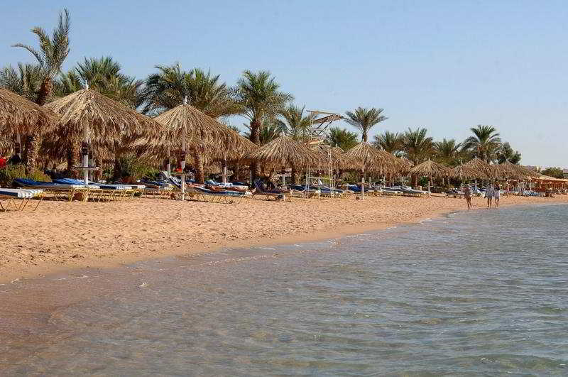 استراحتگاه Jaz Fayrouz
