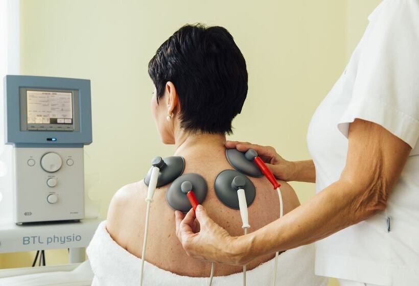 فندق Dvorak Spa & Wellness