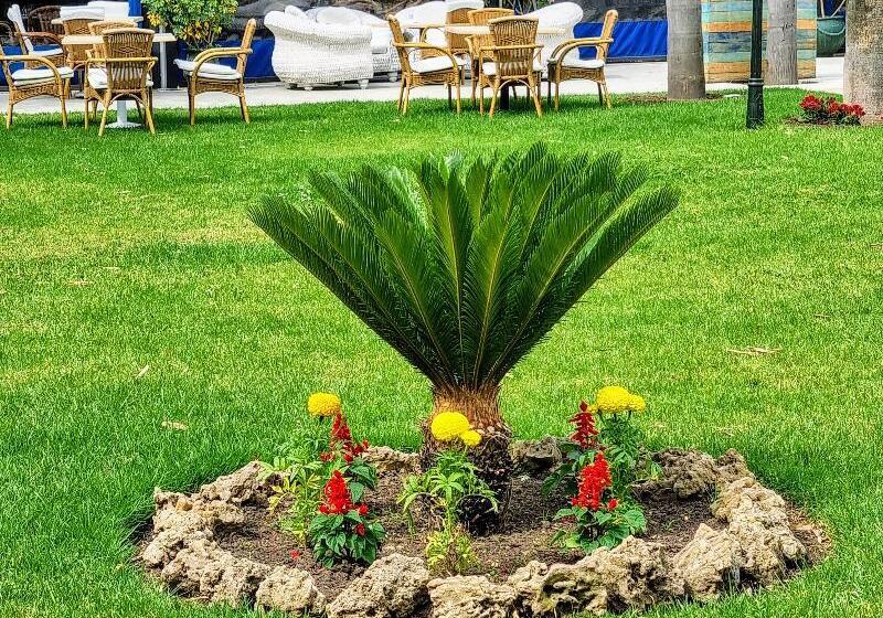 Fotos del hotel El Oumnia Puerto & Spa:  21