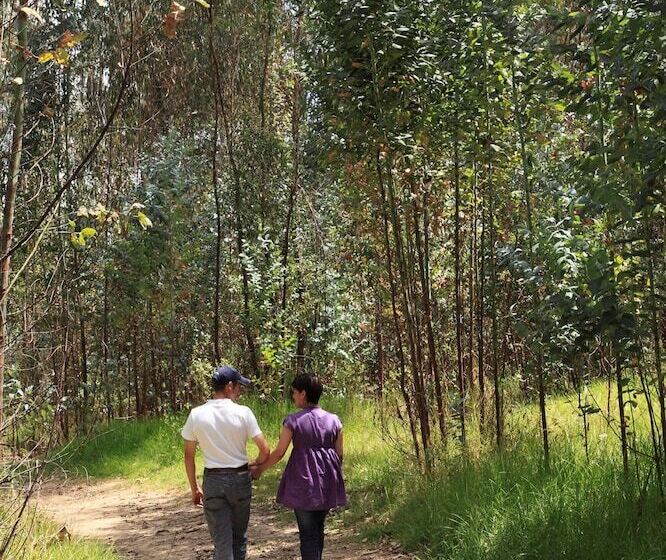 Estelar Paipa Hotel Spa & Y Centro De Convenciones