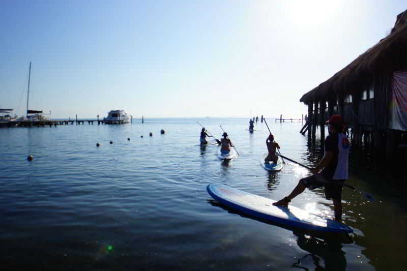 Fotos del hotel Imperial Las Perlas:  2