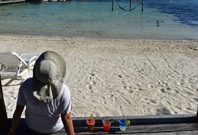 Fotos del hotel Imperial Las Perlas:  28