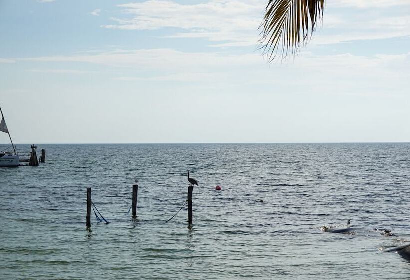 Fotos del hotel Imperial Las Perlas:  32