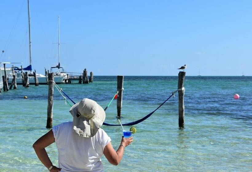 Fotos del hotel Imperial Las Perlas:  33