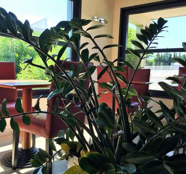 ホテル Hôtel Kyriad Cap Sud