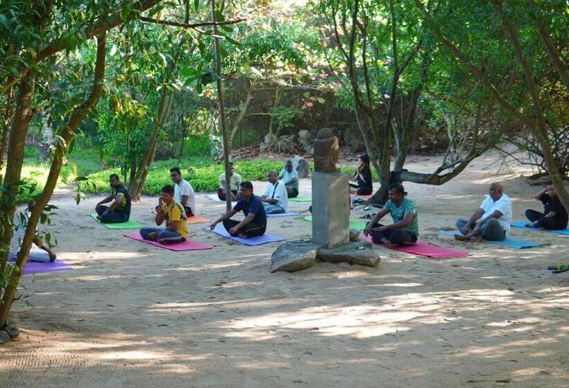 酒店 Pegasus Reef   A Beach Resort In Colombo