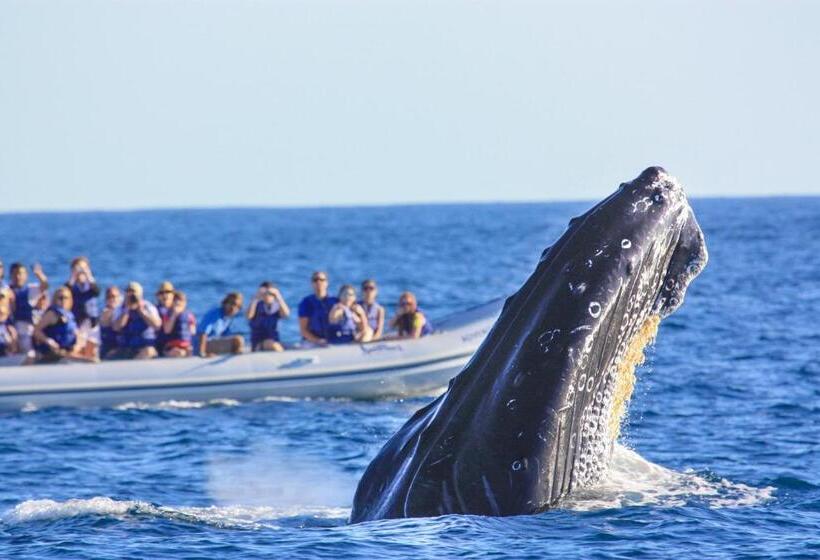 هتل Posada Real Los Cabos