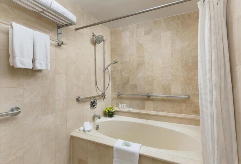 Fotos del hotel Michelangelo:  46