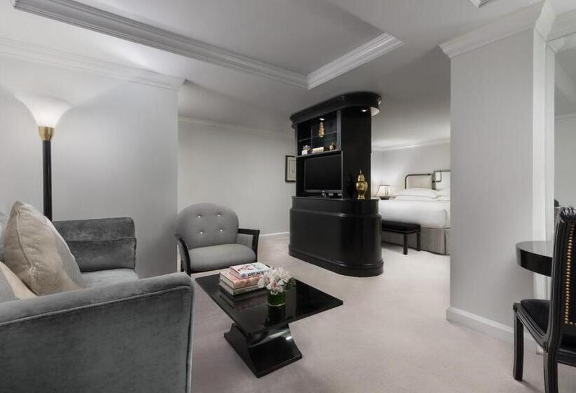 Fotos del hotel Michelangelo:  24