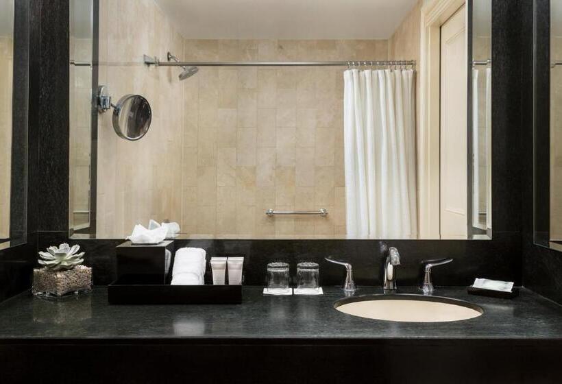 Fotos del hotel Michelangelo:  43