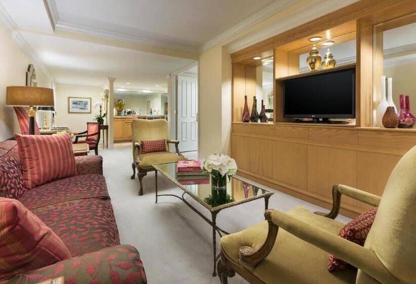 Fotos del hotel Michelangelo:  18