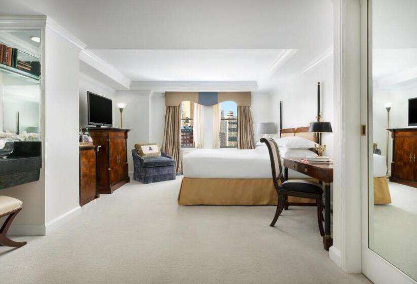 Fotos del hotel Michelangelo:  44