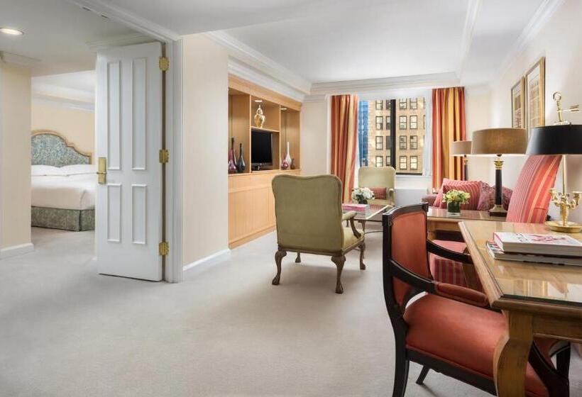 Fotos del hotel Michelangelo:  37