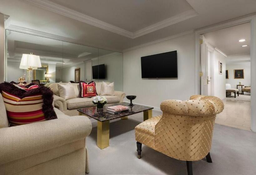 Fotos del hotel Michelangelo:  42