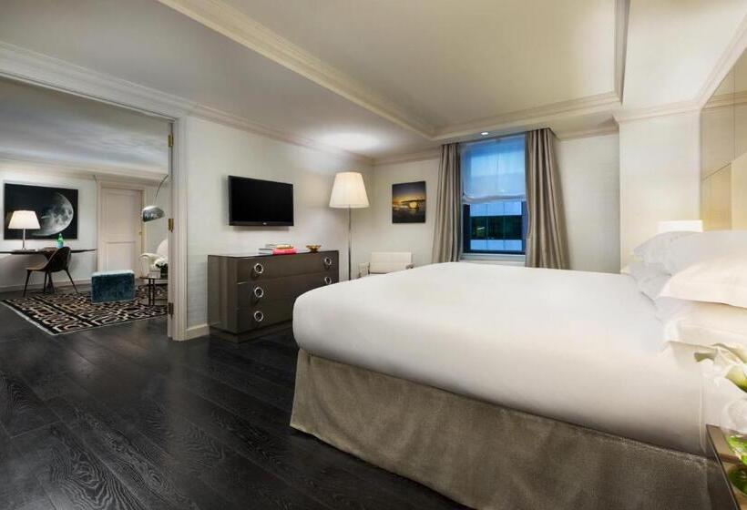 Fotos del hotel Michelangelo:  12