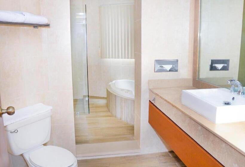 Fotos del hotel Viva Villahermosa:  17