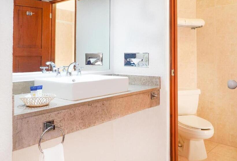 Fotos del hotel Viva Villahermosa:  23
