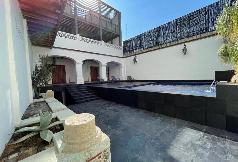مسافرخانه Boutique Naura Centro