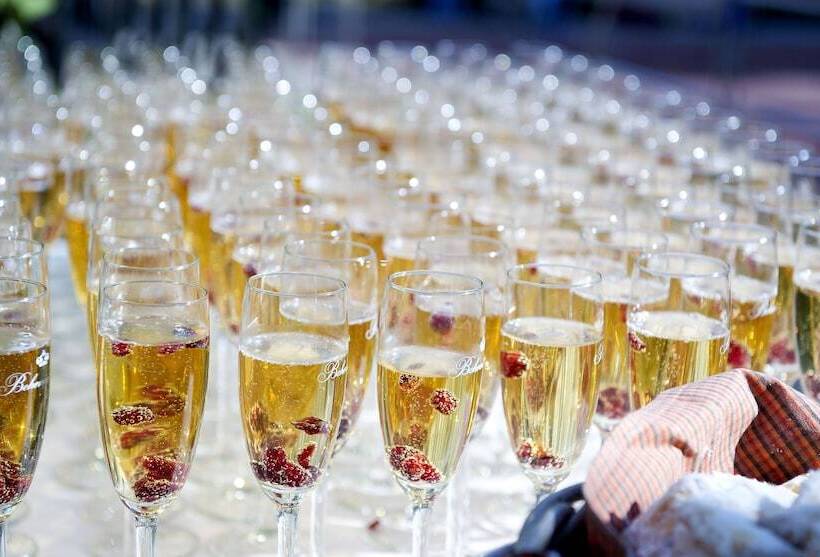 Fotos del hotel Adria Hotel Prague:  13