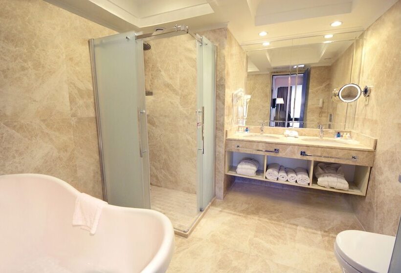 Fotos del hotel Akgun Istanbul:  22