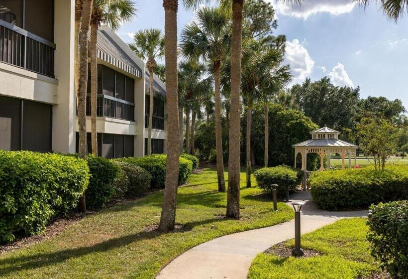 Fotos del hotel Marriott's Sabal Palms:  31