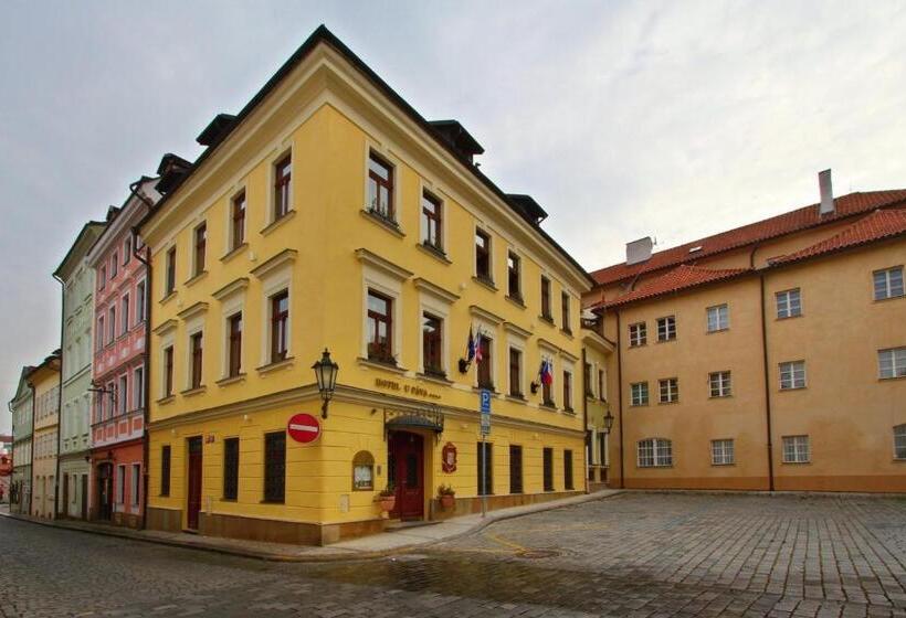 Fotos del hotel U Páva:  37