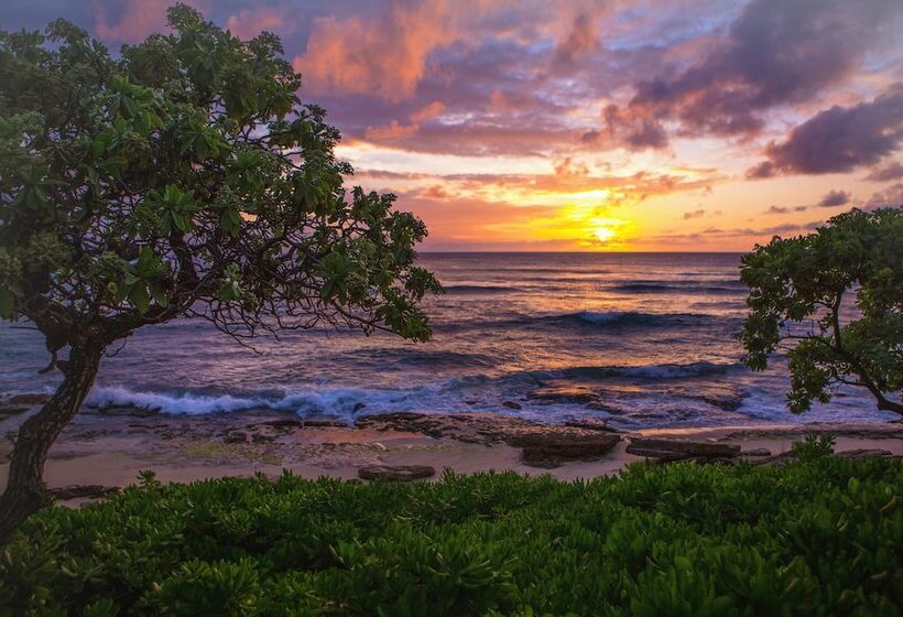 منتجع The Ritz Carlton O Ahu, Turtle Bay