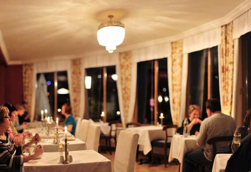 Fotos del hotel Villa Excelsior  & Kurhaus:  13