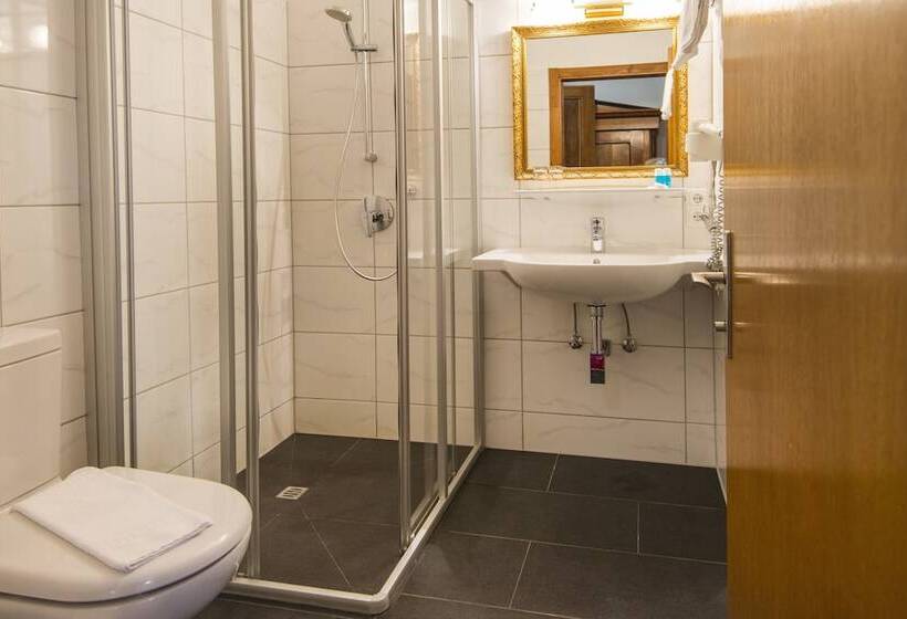 Fotos del hotel Villa Excelsior  & Kurhaus:  4