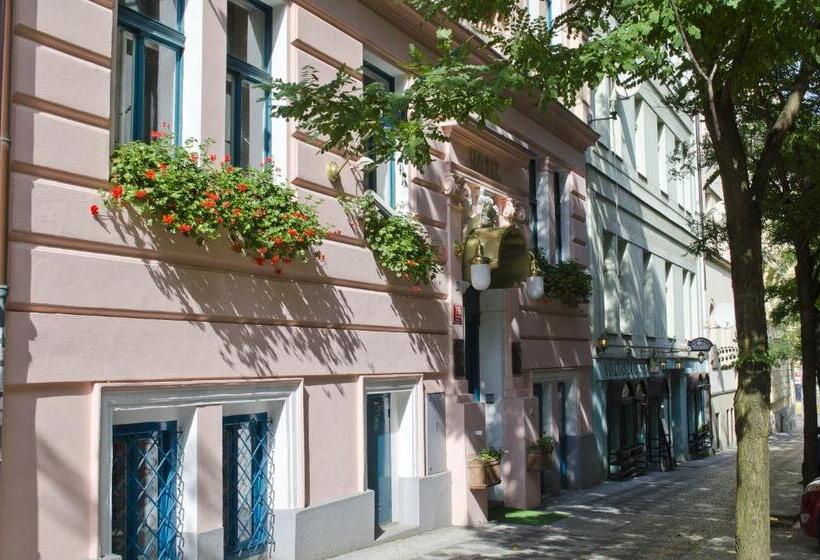 Fotos del hotel Anna:  8