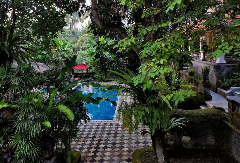 Fotos del hotel Arma Museum & Resort:  20